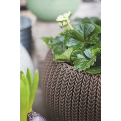 KETER DONICZKA STOJĄCA WISZĄCA 2W1 COZY M 36cm